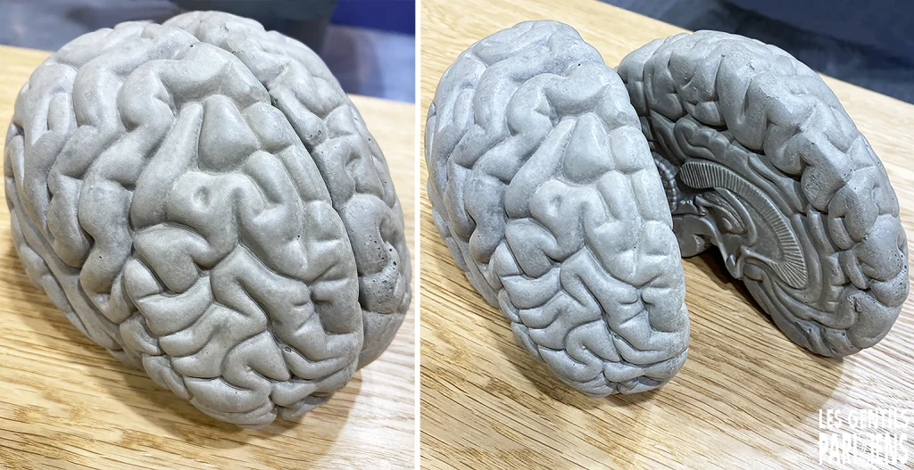 concrete brain (lyon beton) 